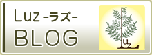 LUZ BLOG